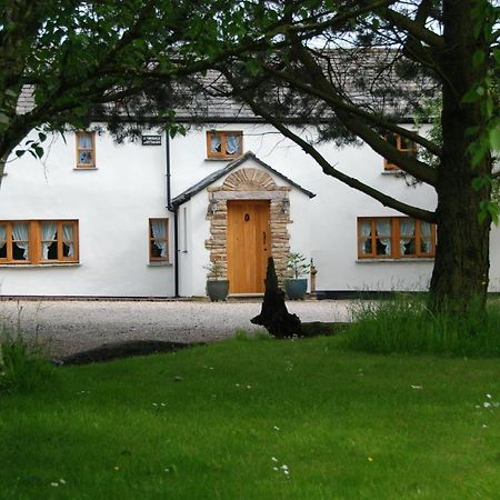 Armidale Cottages B&B Workington Esterno foto