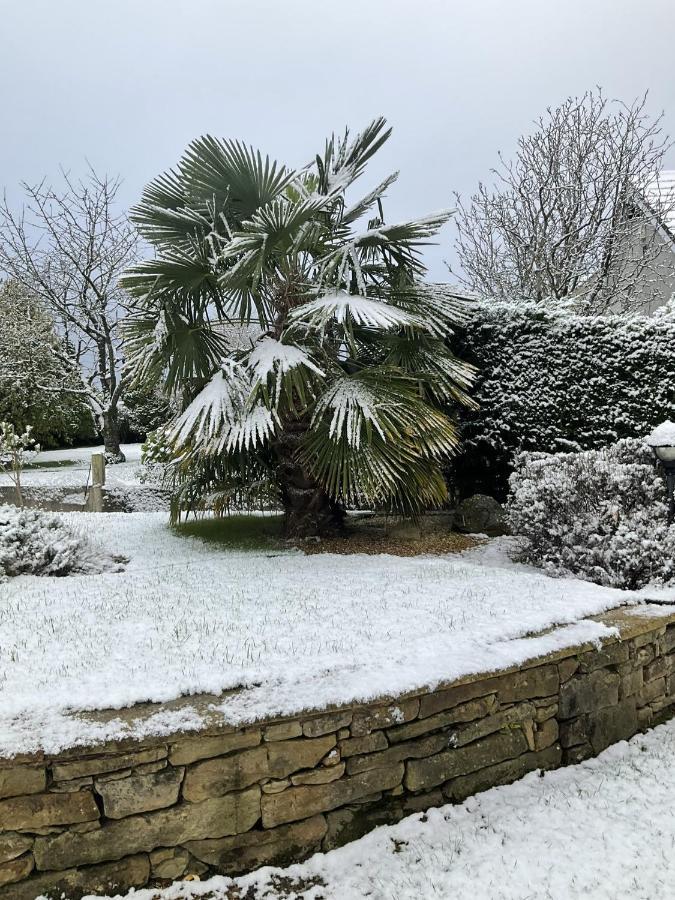 Armidale Cottages B&B Workington Esterno foto